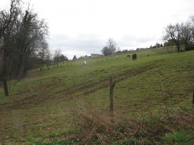 Pré cheval  à partir de 60€ mois