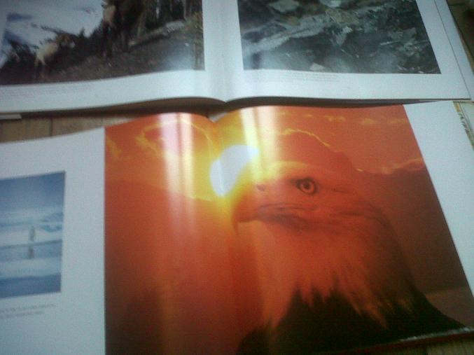 Lot 2 livres photos montagne : Montagne et Alaska