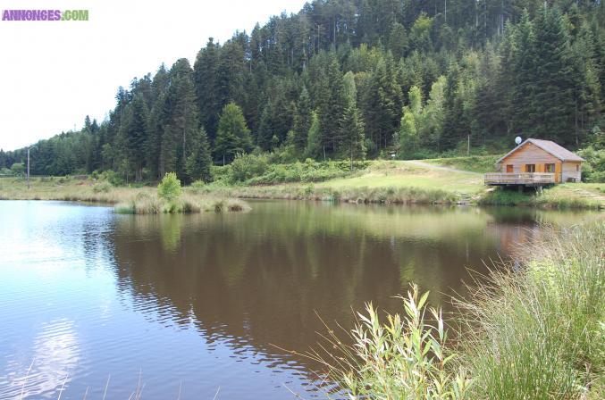 Chalet avec étang privé