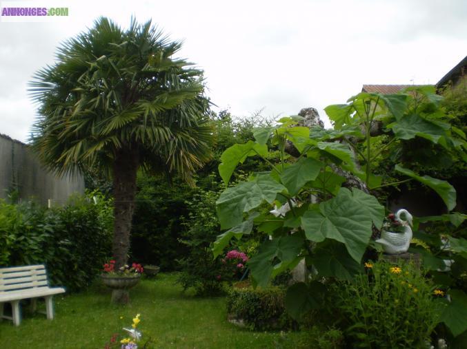 2 Maisons traditionnelles centre de NIORT/Souché