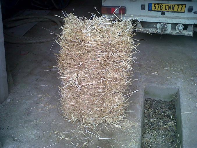 Petits ballots de paille