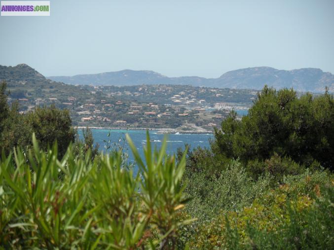 Appartement haute-corse