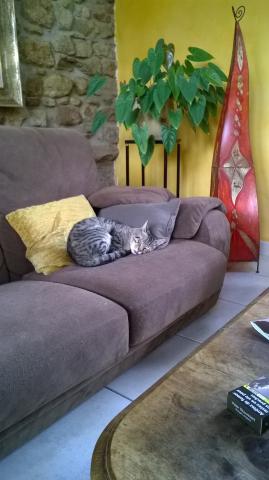 Femme douce recherche