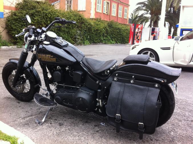 Harley davidson softail