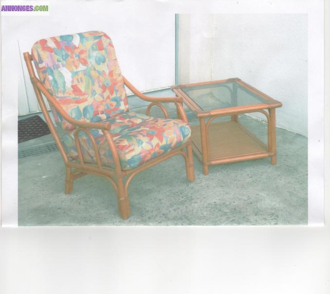 Fauteuil et table de salon ou véranda