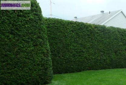 Jardinier  Evreux haute Normandie  27