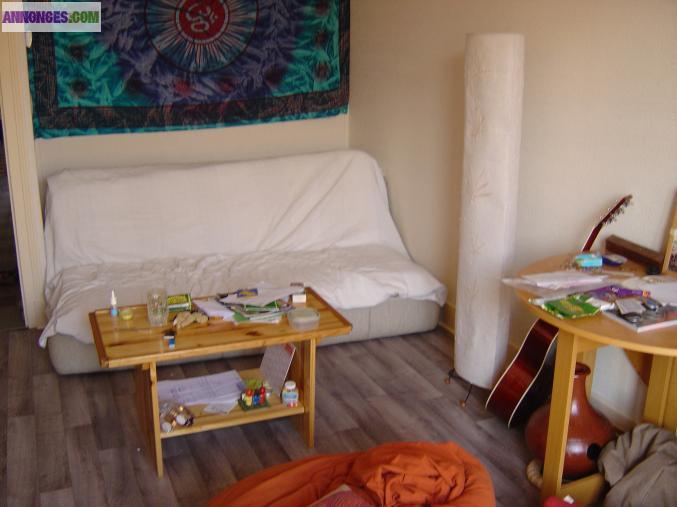 Urgent T2 60 m2 Grenoble stalingrad libre le 8 juin 2013