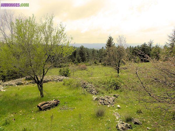 Bergerie proche Ventoux en Provence