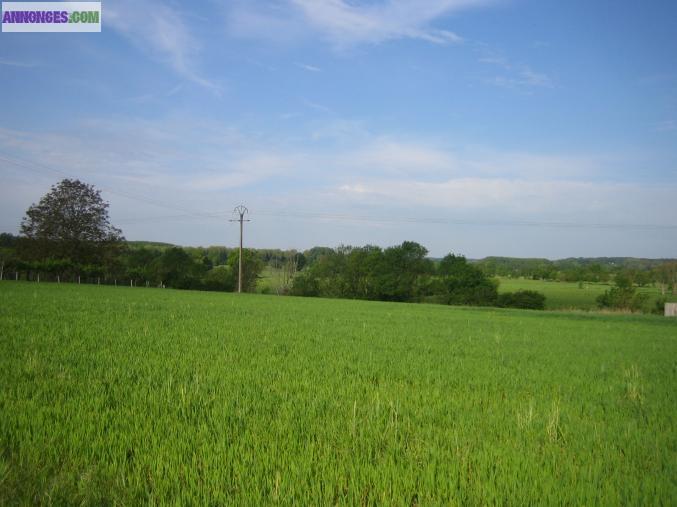 RARE : TERRAIN à bâtir 1 000 m2, vue exceptionnelle – dans TIERCE à 15 kms au nord d'ANGERS 