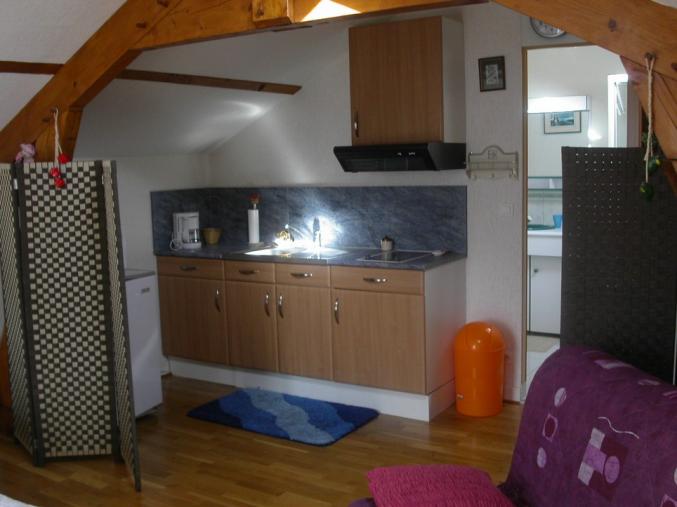 Location d'un grand studio à Vézac