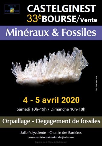 33ème Bourse-vente minéraux / fossiles, pierres du bien-être à Castelginest (31780)