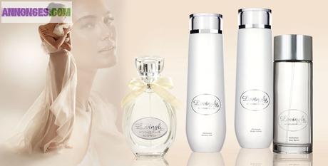 Nutriconsulting Alain Jouanjan