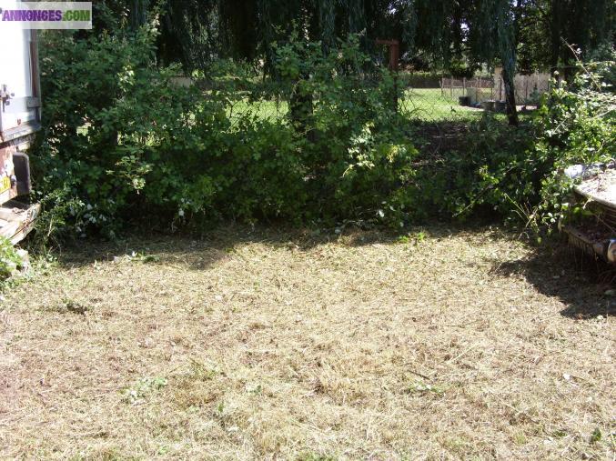 Coupe d'arbre debroussaillage de terrains