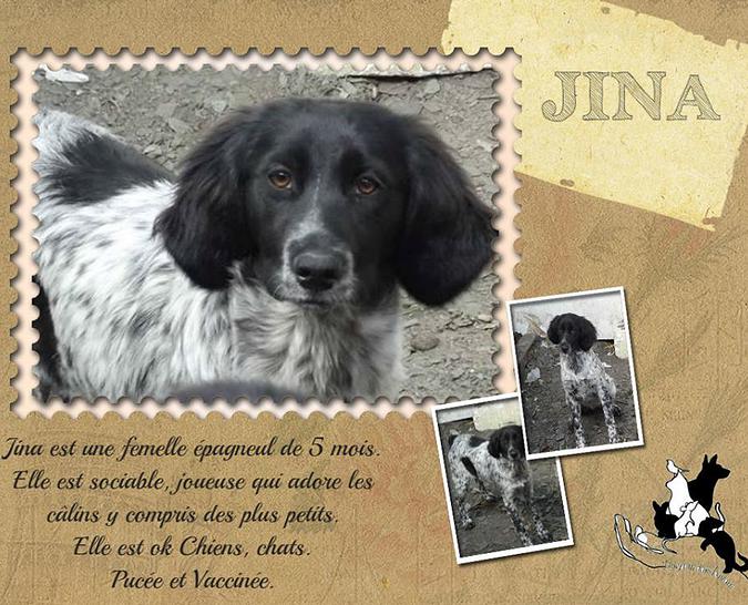 Recherche des Familles d'accueil