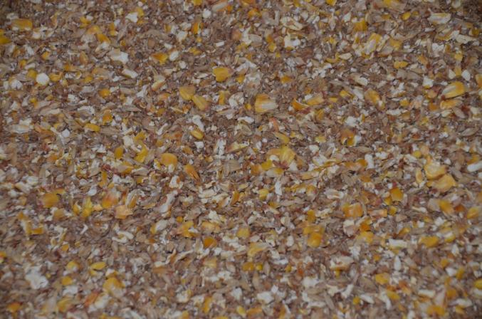 Aliment poules pondeuses