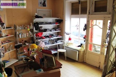 Salon Toilettage potentiel +++