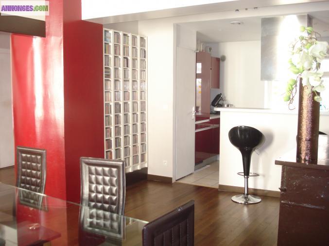 Duplex 101 M2 - Centre de Vienne