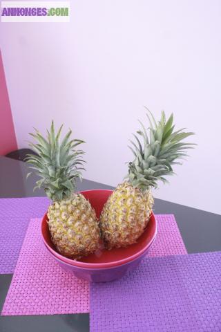 MAISON D'HOTES GUADELOUPE