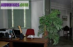 Bureau équipé, tarif tout compris, Marseille VieuxPort