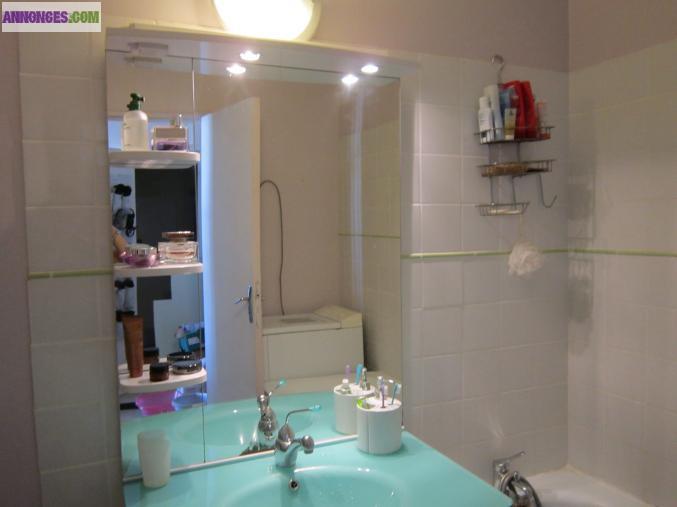 Appartement 35m2 ORLEANS