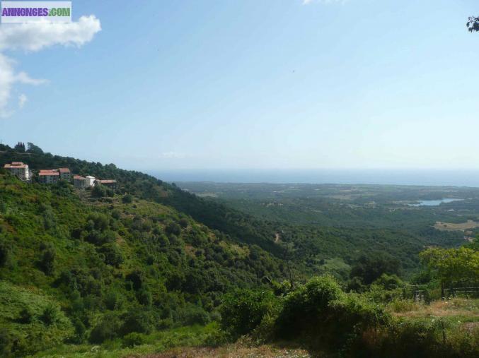 Maison de Village, 5 personnes , Plaine orientale