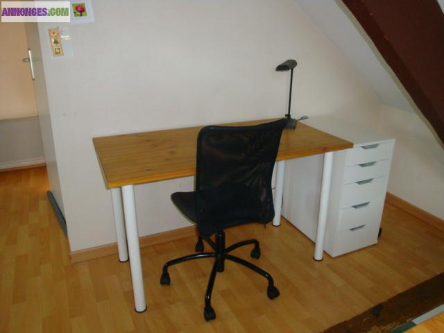 A LOUER JOLI MEUBLE