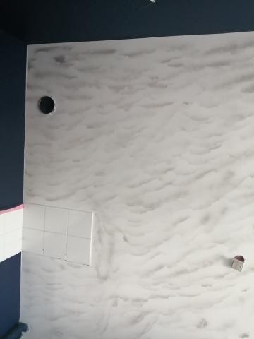 Peintre professionnel