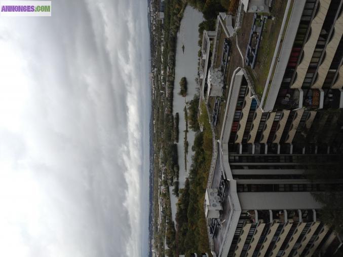 SUPERBE VUE PANORAMIQUE SUR PARIS
