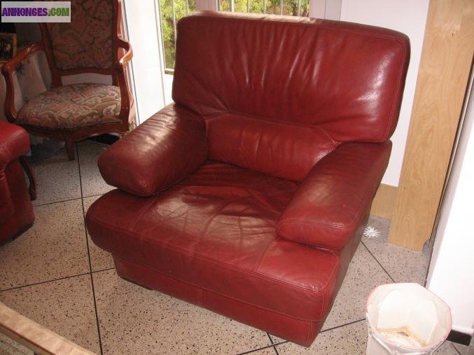 Ensemble de canapés en cuir