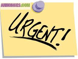 Jeune fille recherche maître d'apprentissage pour CFA