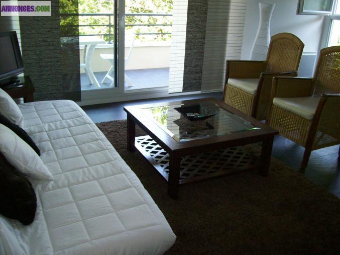 T3 meublé bord de mer