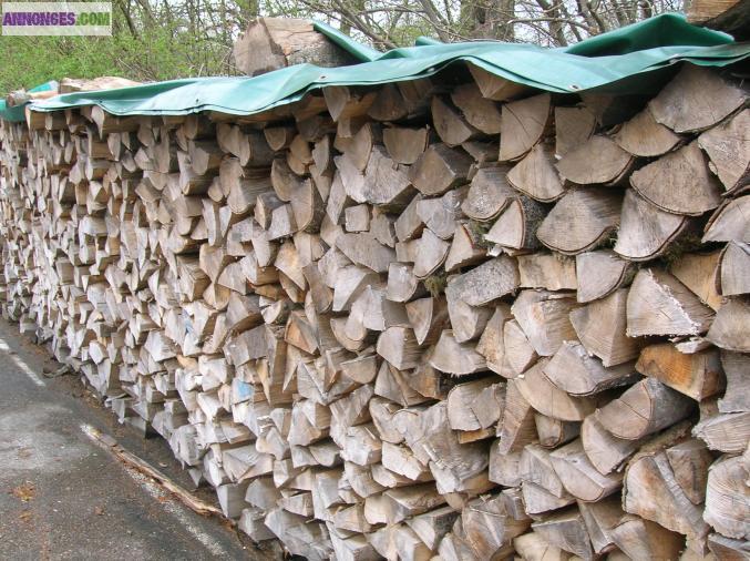 Bois de chauffage 100% hetre