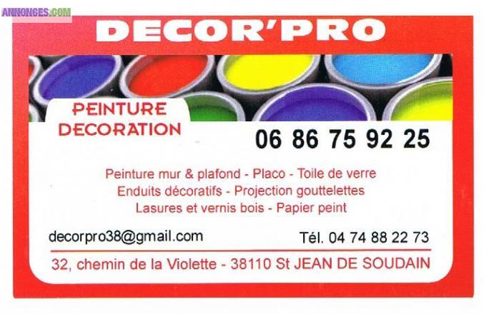Decoration peinture ent.