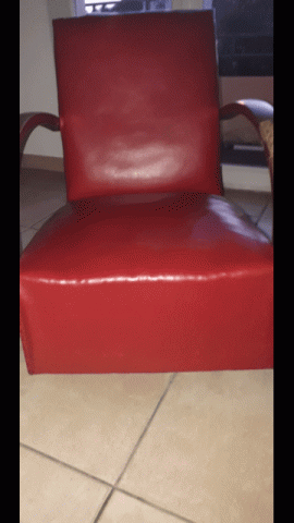 Paire fauteuil crapaud