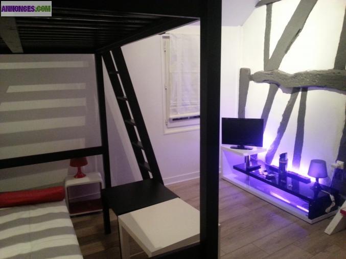 Appartement moderne meublé, centre ville ROUEN