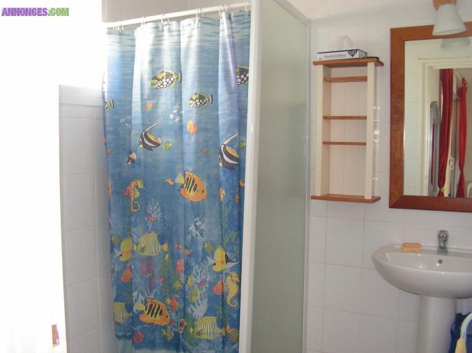 Studio centre plages