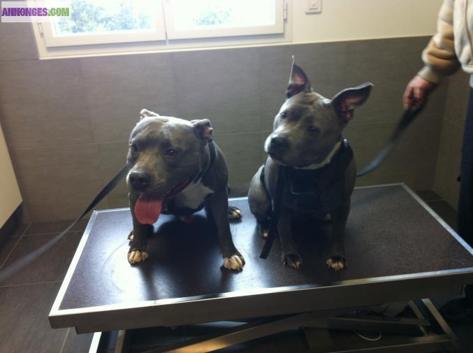 Americain staff au LOF