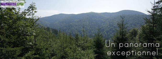 BUSSANG-A VENDRE 6 PARCELLES DE TERRAIN A BATIR VIABILISEES