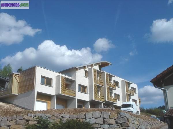 Appartement entre le lac et les pistes avec belle vue...