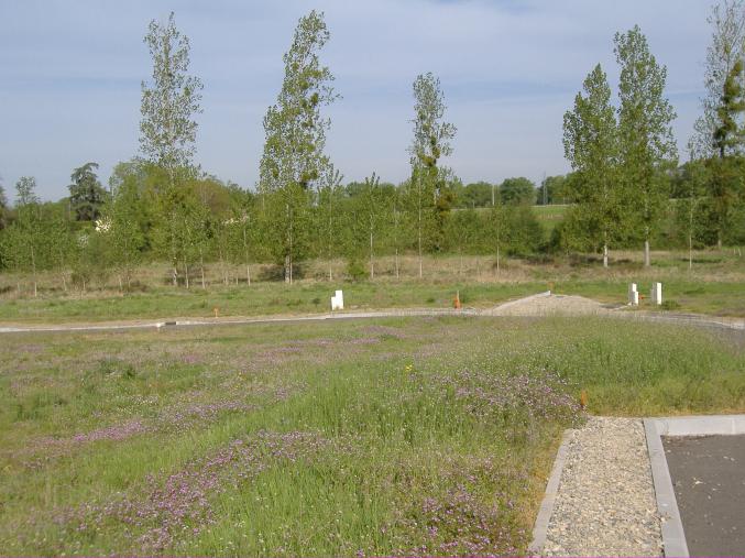 Terrain constructible