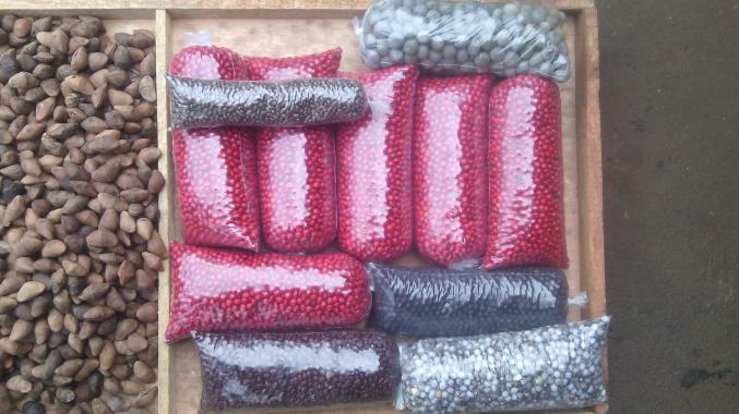 Je recherche des acheteurs grossiste Artisans créateurs utilisant des perles végétales, 