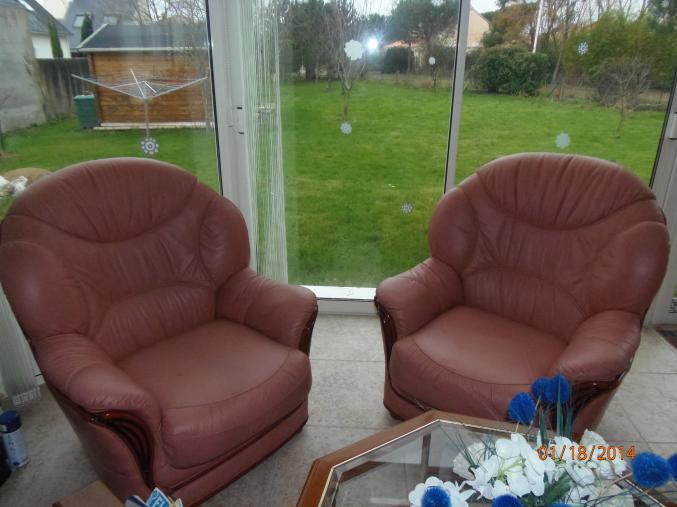 Fauteuils cuir