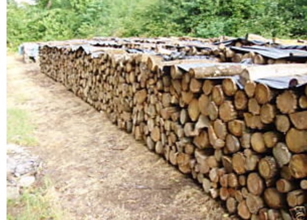 Bois de chauffage /Élagage