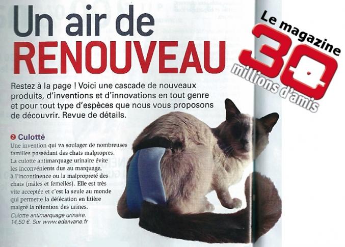 Chat TONKINOIS mâle inscrit au LOOF