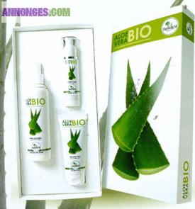 RECRUTE VDI ET FUTURS MANAGERS H/F