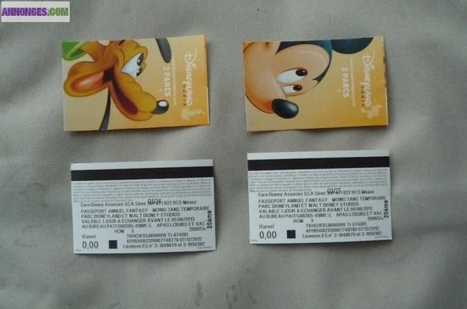 Passeport annuel dysneyland -7 ans "fantasy"