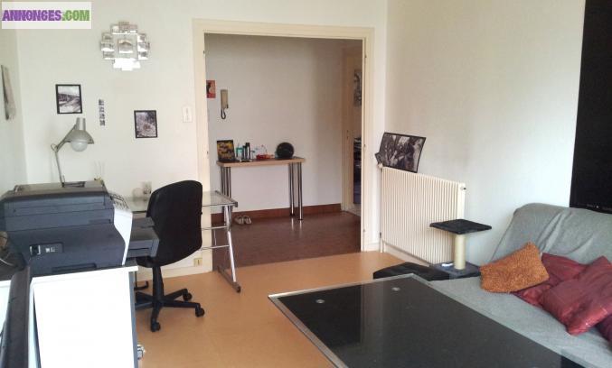 T2 50m² Calme et lumineux