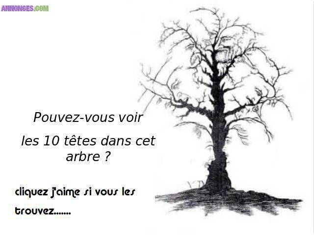 Nouvelle vision intérieure