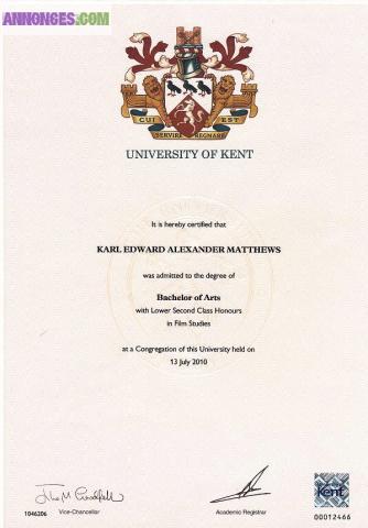 Traducteur/interprète français-anglais, professeur d’anglais