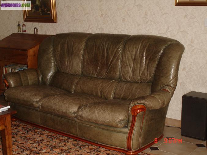 Canape cuir vert bronze